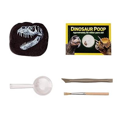 Boti National geographic dinosaurus graaf set - thumbnail