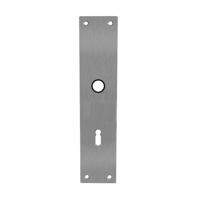Intersteel renovatieschild rechthoekig 250x55x2mm sleutelgat 72mm - RVS - thumbnail