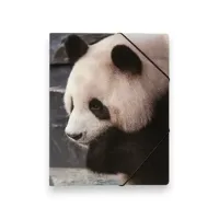 Set van 3 - Documentenmap A4 (Elastomap) - Panda Design - 24×31 cm - Opbergmap met 3 kleppen & hoekelastiek - thumbnail