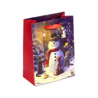 Lisa Parker Kerstmis Katten - Cadeautasje Medium - thumbnail