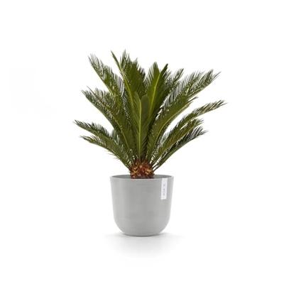 Ecopots Oslo kunststof bloempot Wit/Grijs - Ø 23,4 cm Ecopots Oslo kunststof bloempot Wit/Grijs - Ø 23,4 cm