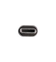 Aanstekerplug 12/ 24 Volt USB type C 4238892 - thumbnail