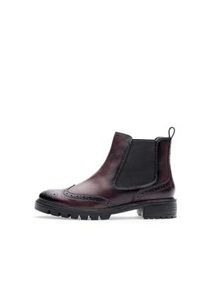 Ara 1229514 - alle Ara 1229514 - alle