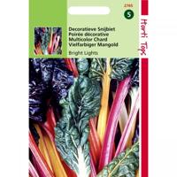Zaden Snijbiet Bright Lights (Regenboog) Hortitops - Hortitops - thumbnail