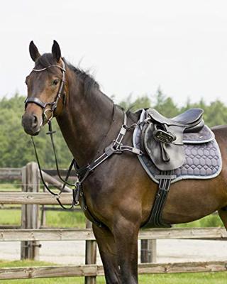 QHP QCross Sedna hoofdstel zwart maat:cob
