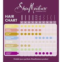 Shea Moisture Moringa & Avocado Power Greens Reconstructor - thumbnail