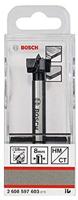 Bosch Accessories 2608597603 Forstnerboor 18 mm Gezamenlijke lengte 90 mm Cilinderschacht 1 stuk(s) - thumbnail