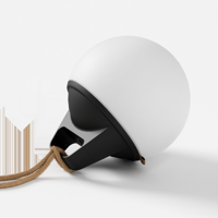 Light 250 - thumbnail