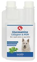 Sectolin Glucosamine,collageen & MSM hond - thumbnail