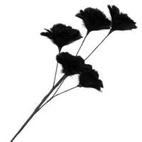 Daan Kromhout Kunsttak feather bloemen zwart 85 cm | 8 stuks - thumbnail