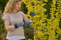 GARDENA Struikonderhoud handschoen - thumbnail