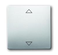 Busch-Jaeger 6430-866-102 Ingangsmodule ↑/↓ RVS 1 stuk(s) - thumbnail