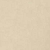 Vliesdoek voor planten 2 rollen 70 g/m² 50x1,6 m - thumbnail