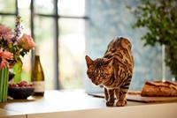 Livingwalls My Home My Spa blauw behang | 387073 - thumbnail