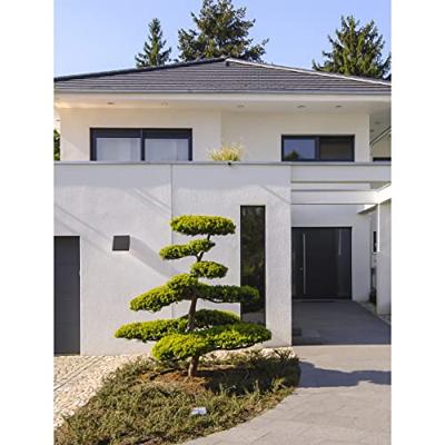 Lyora Unieke wandlampParris antraciet - 9492620