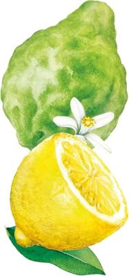 Weleda Citrus & Bergamot 24h Deodorant Stick - thumbnail