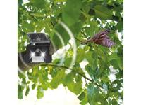 Gardigo Vogelverschrikker Functies: Zonne-energie, Ultrasoon 1 stuk(s) - thumbnail