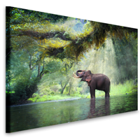 Schilderij - Olifant in het water , wanddecoratie, zeer stevig verpakt geleverd , premium print, Dieren, natuur - thumbnail