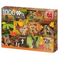 Premium Collection Dieren in de herfst 1000 stukjes - thumbnail