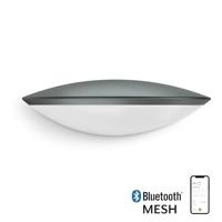 Steinel buitenlamp met sensor antraciet, 3000K 12W 770 lumen L 825 LED IHF, 0599903 - thumbnail