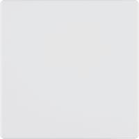 Berker Drukknop 1-voudig polarwit 85145129 - thumbnail
