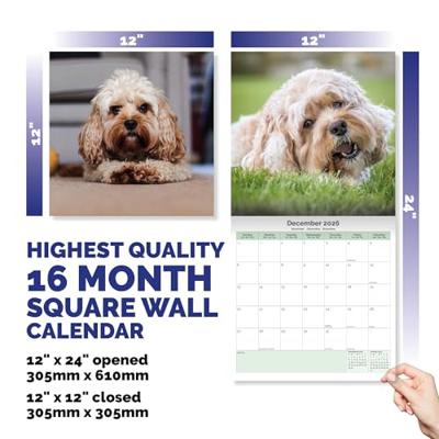 Cavapoo Kalender 2026 Cavapoo Kalender 2026