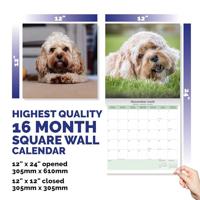 Cavapoo Kalender 2026 - thumbnail