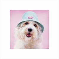 Kunstdruk Rachael Hale - Cindy 40x40cm - thumbnail