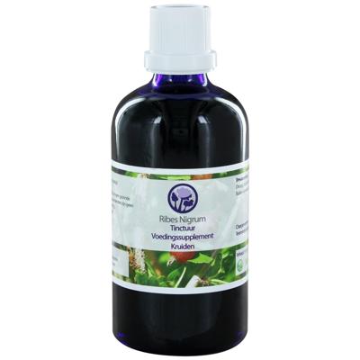 Ribes nigrum tinctuur Ribes nigrum tinctuur
