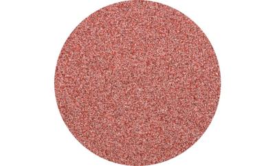 PFERD TOOLS CDR 38 A 60 FORTE 42771406 Schuurblad Korrelgrootte (num) 60 (Ø) 38 mm 100 stuk(s)