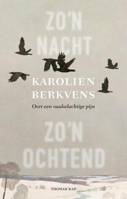 Zo´n nacht, zo´n ochtend - Karolien Berkvens - ebook