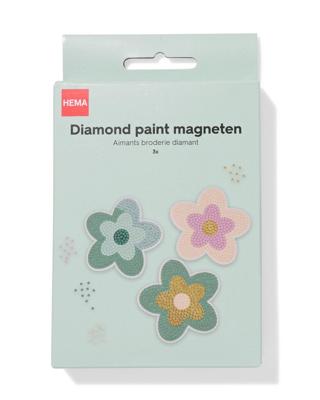HEMA Diamond paint magneten (multi)