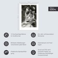 Katten Kalender 2026 XL - thumbnail