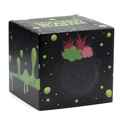 Zwarte Heksenketel Staande Bloempot Binnen