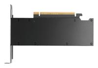 NVIDIA PNY RTX PRO 2000 Blackwell - 16 GB GDDR7 grafische kaart - thumbnail