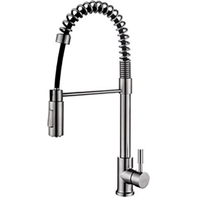 Wiesbaden Floyd RVS Keukenkraan met Coldstart en Handdouche