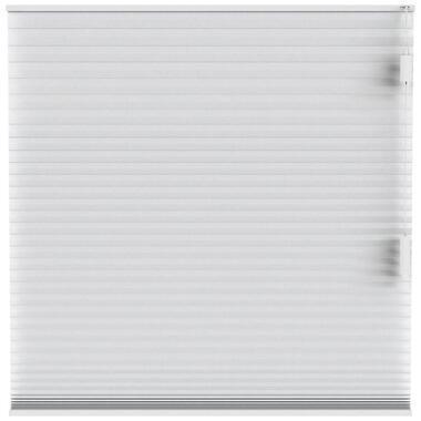 Fenstr plisségordijn Chicago dubbel 25mm lichtdoorlatend - wit (10011)