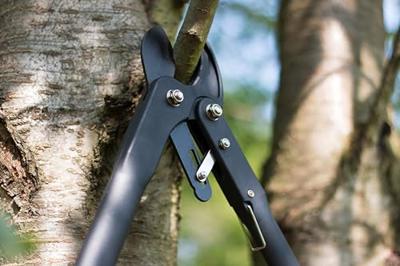 Meister Takkenschaar Klein Met Ratel - WU9718000