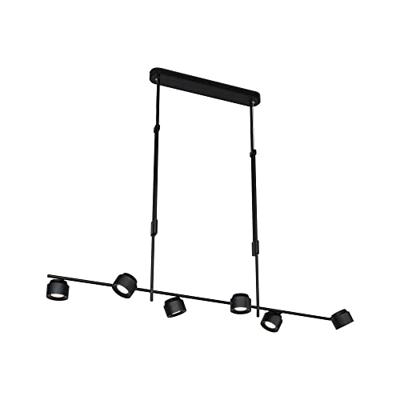 Paulmann Pane 79783 LED-hanglamp 36 W Zwart