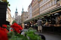 Canon EF-S 24mm F/2.8 STM - thumbnail