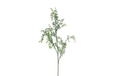 Decostar Cotoneaster kunstplant 78 cm groen