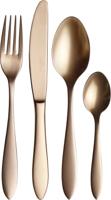 VILLEROY & BOCH - Manufacture Bestek - Bestekset 4 persoons 16-dlg - thumbnail