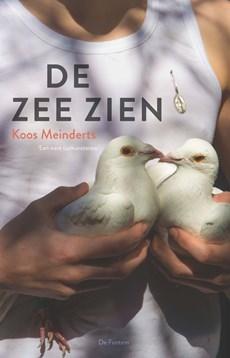 De zee zien - Koos Meinderts - ebook