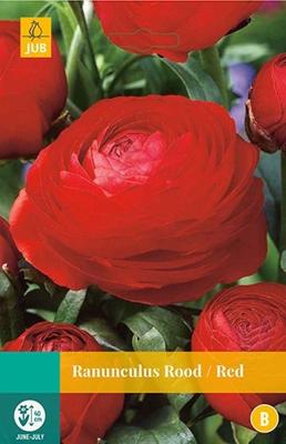 Ranunculus rood bloembollen 10 bollen Ranonkel JUB - Jub