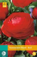 Ranunculus rood bloembollen 10 bollen Ranonkel JUB - Jub - thumbnail