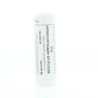 Homeoden Heel Aesculus hippocastanum D12 6 Gram - thumbnail