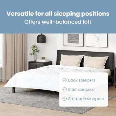 VidaXL Hoofdkussen met kussen 2 pcs wit 61 x 41 x 20 cm polyester