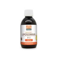 Mattisson Healthstyle Mattisson Healthstyle Aquasome Liposomaal Vitamine B12 1000mcg (250ml) - thumbnail