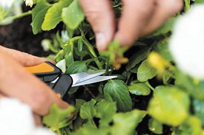Fiskars Solid Snip kruidenschaar SP13 - thumbnail