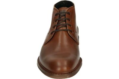 Floris van Bommel CREPI 11.14 - alle